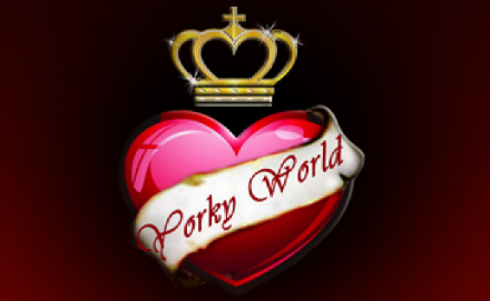 Yorky World di Patrizia Casadei
